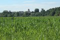(47) Balade à pied